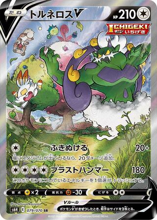Tornadus V 079/070 - Silver Lance