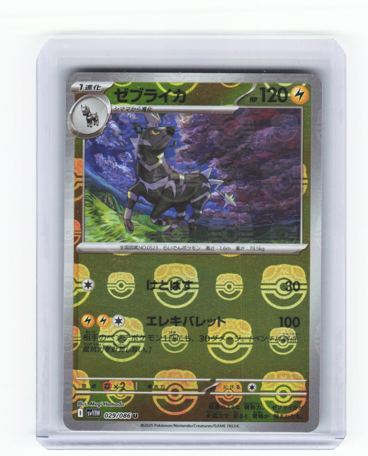 Chaos Sort CS-0335-014: forside