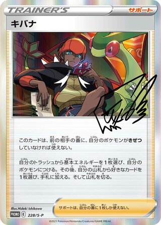 Raihan Sword And Shield Promos 228 S P 228/S-P