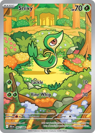 Snivy 087/086 - Black Bolt