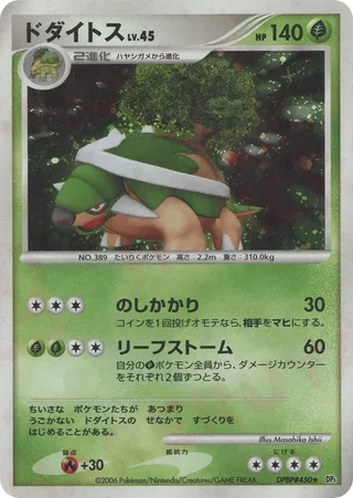 Torterra No. 013 - Space-Time Creation