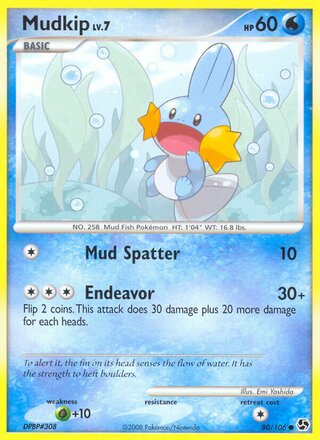 Mudkip 80/106 - Emerald