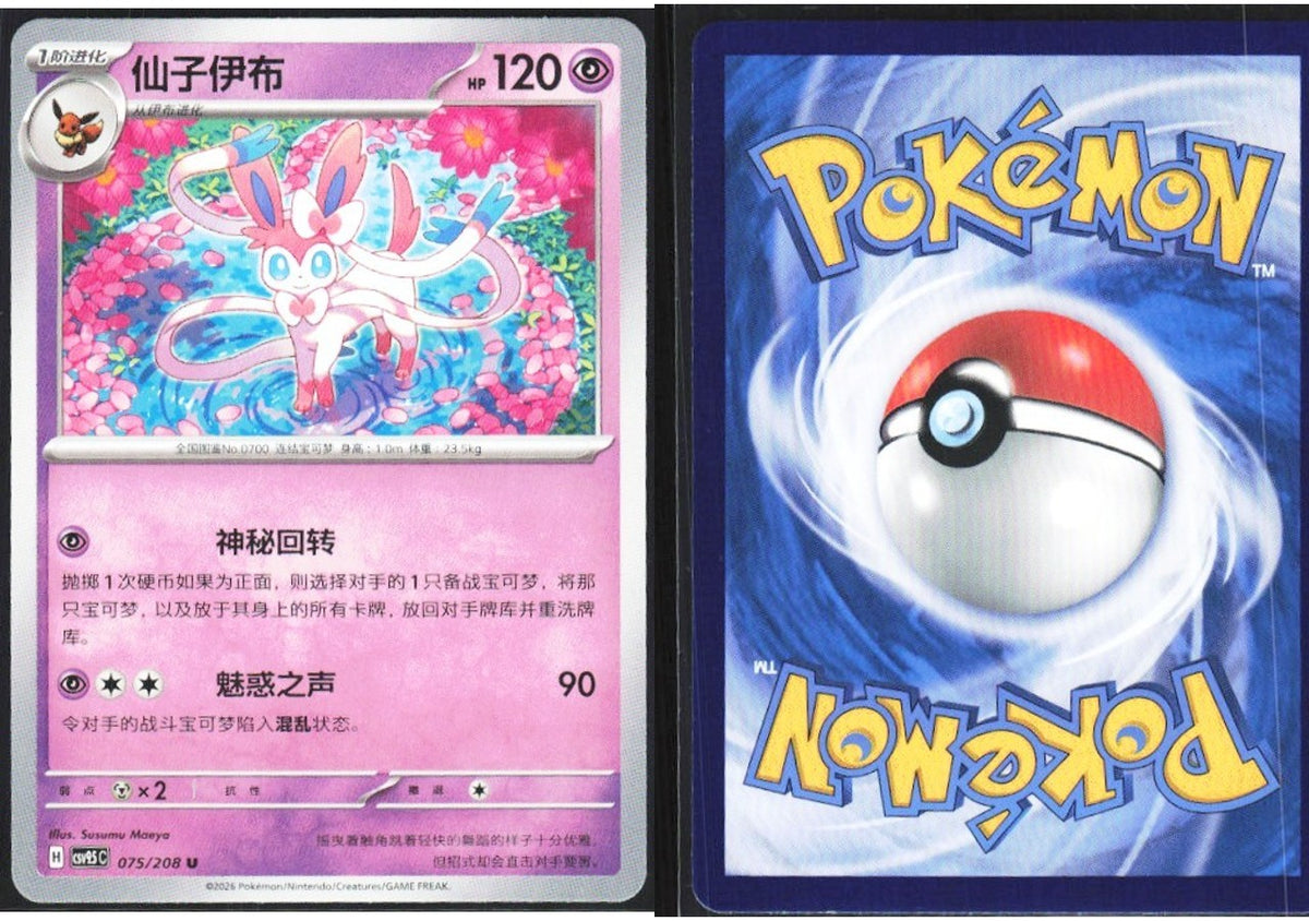 Chaos Sort CS-0652-042: forside og bakside