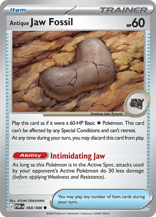 Antique Jaw Fossil 068/088 - Perfect Order