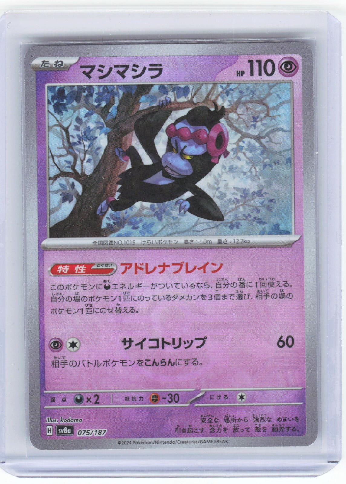 Chaos Sort CS-0335-010: forside