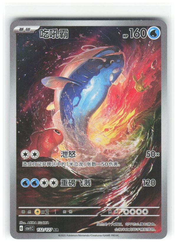 Chaos Sort CS-0348-010: forside