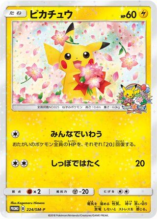 Pikachu Sun And Moon Promos 224 Sm P 224/SM-P