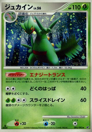 Sceptile 005/092 - Intense Fight in the Destroyed Sky