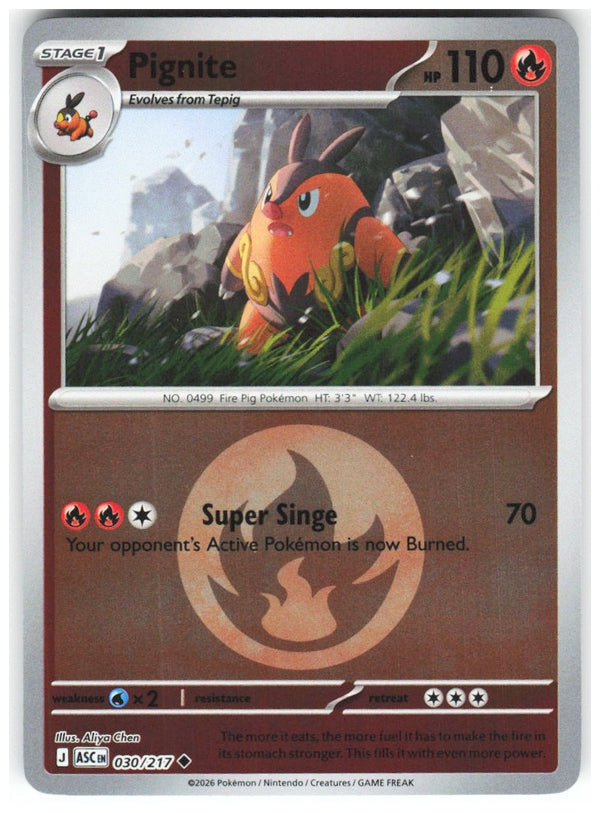 Chaos Sort CS-0357-008: forside