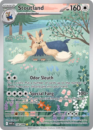 Stoutland 156/086 - White Flare