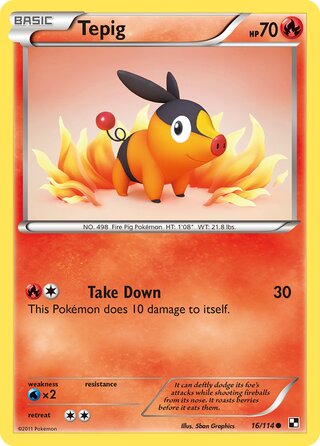 Tepig 16/114 - Bllack & White Base