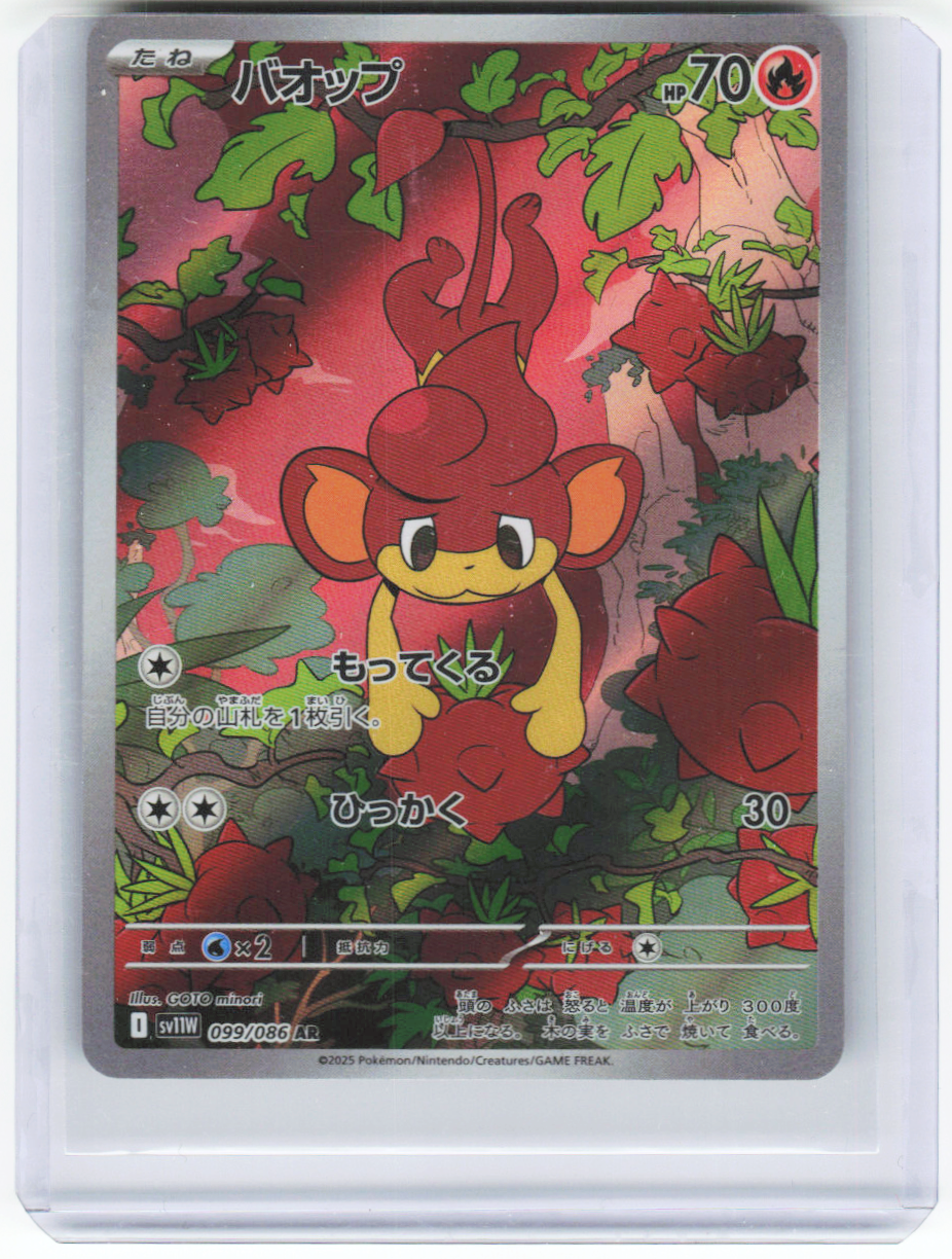 Chaos Sort CS-0330-034: forside