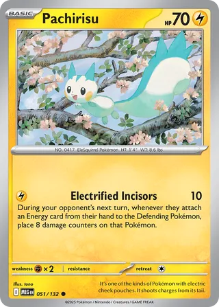 Pachirisu 051/132 - Mega Evolution Base