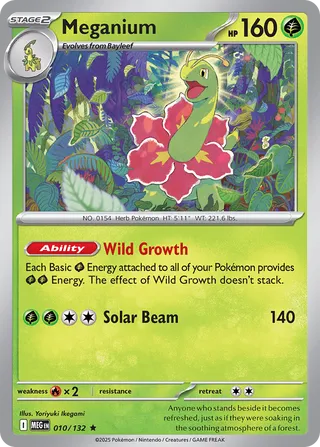 Meganium 010/132 - Mega Evolution Base