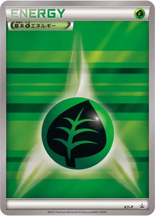 Grass Energy Xy Promos No 349 No. 349