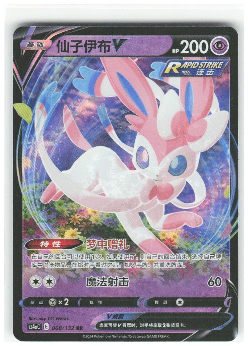 Chaos Sort CS-0348-042: forside