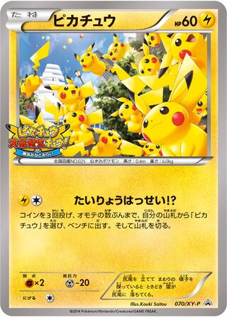 Pikachu Xy Promos 070 Xy P 070/XY-P