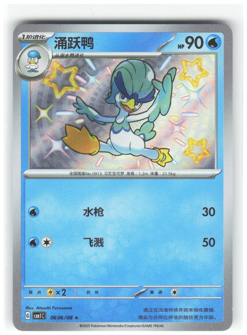 Chaos Sort CS-0348-011: forside