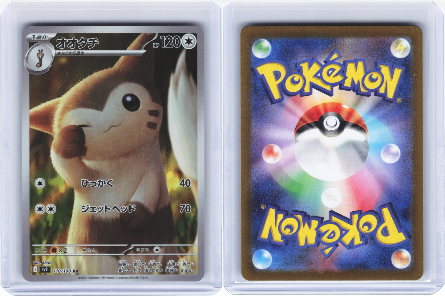 Furret 110/100 - Battle Partners