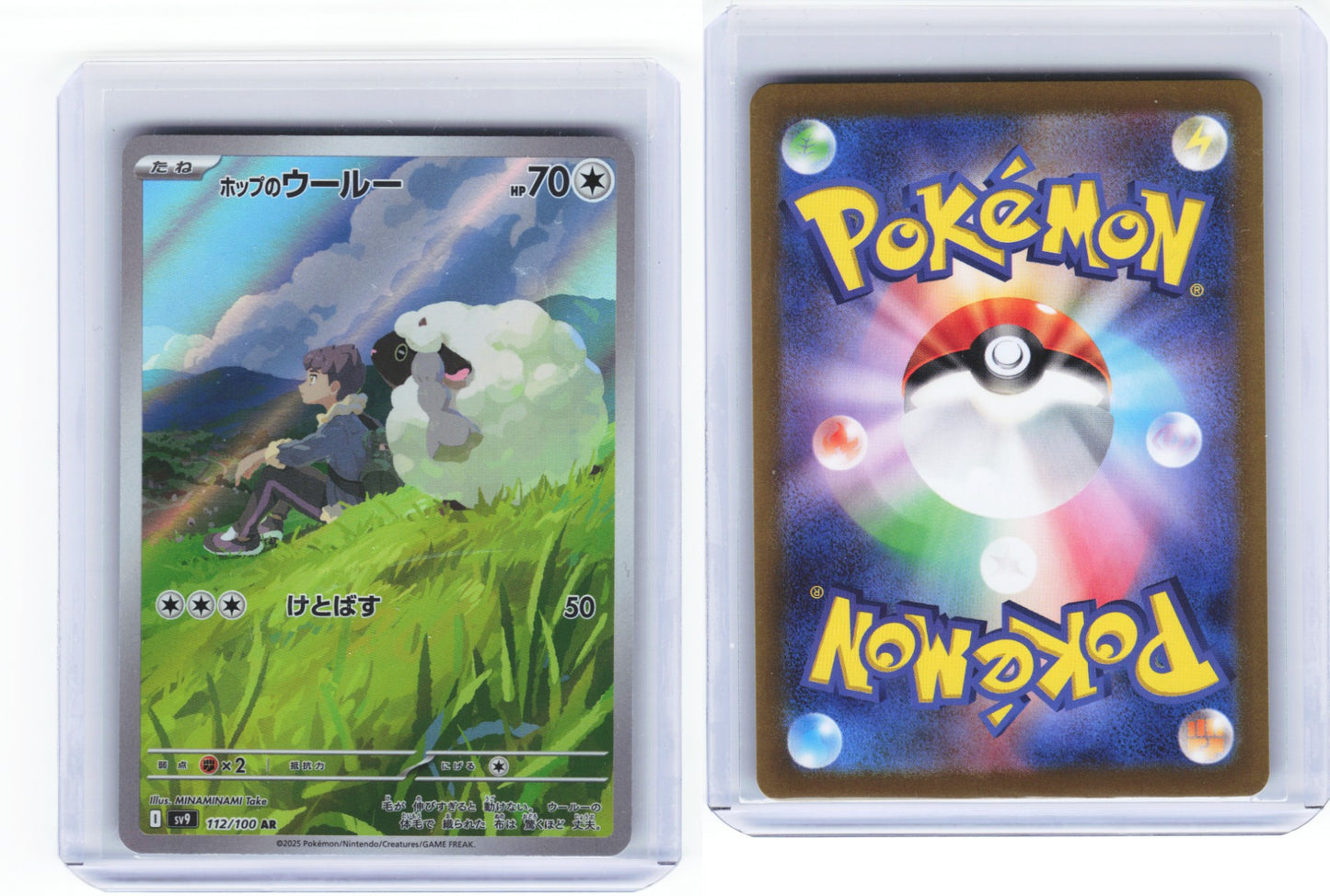 Hops Wooloo Battle Partners 112/100