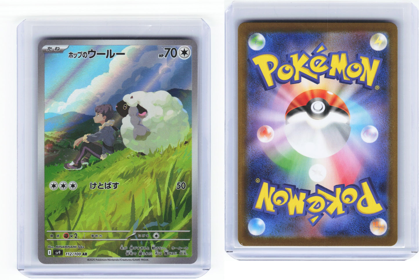 Hops Wooloo Battle Partners 112/100