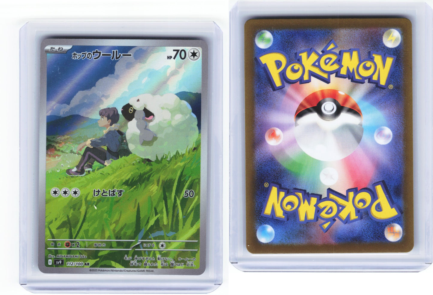 Hops Wooloo Battle Partners 112/100