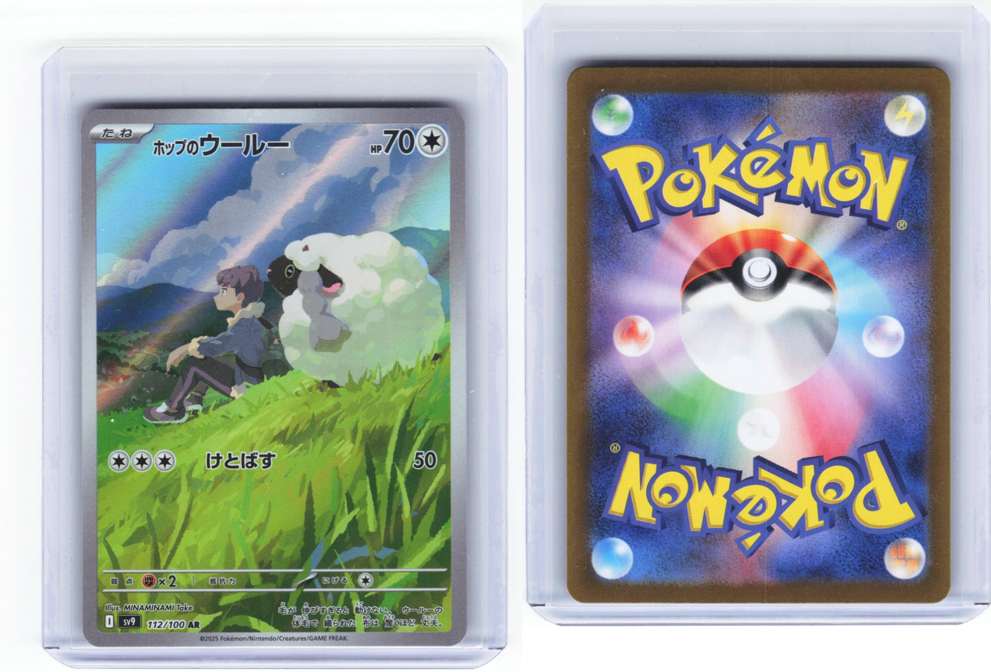 Hops Wooloo Battle Partners 112/100