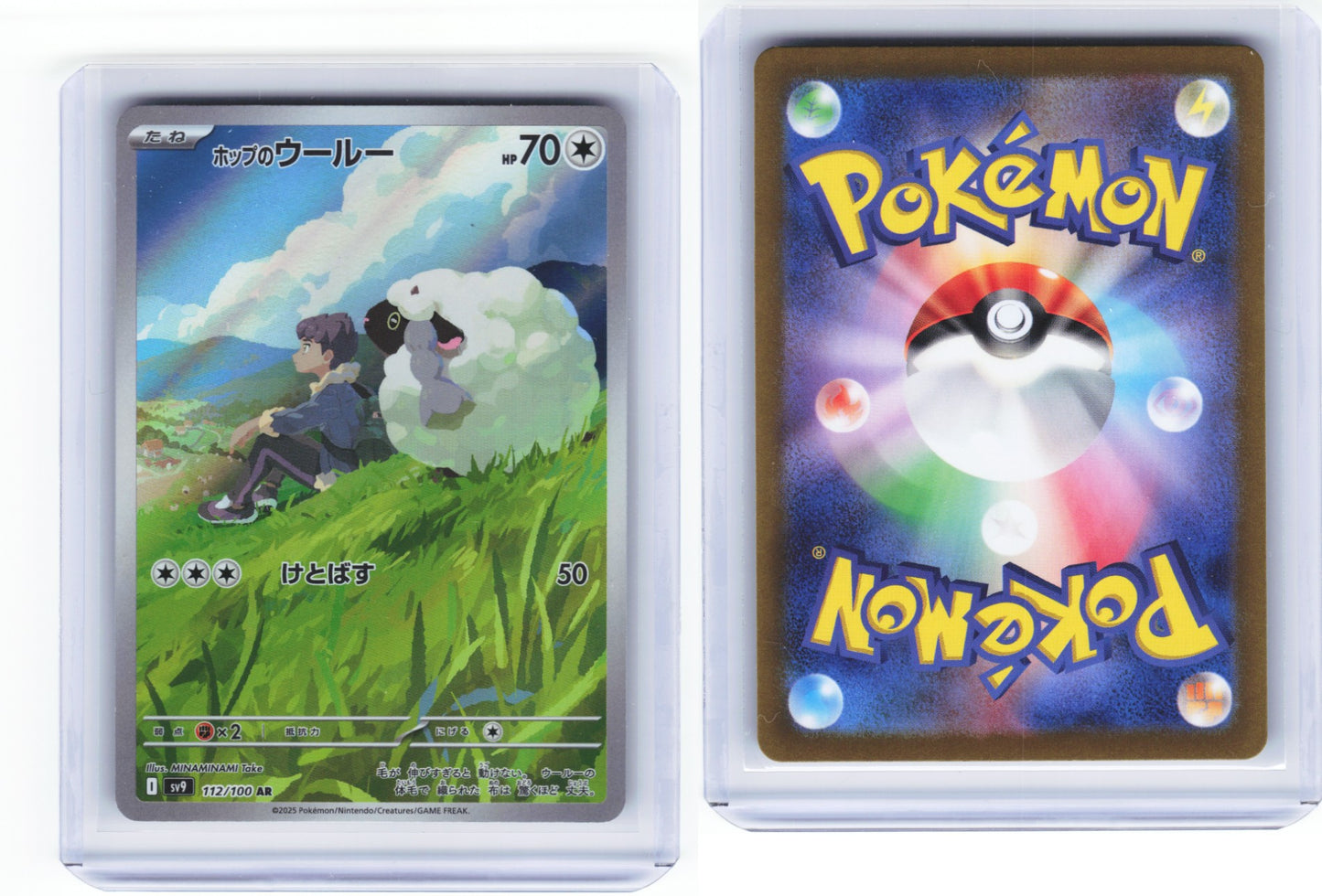 Hops Wooloo Battle Partners 112/100