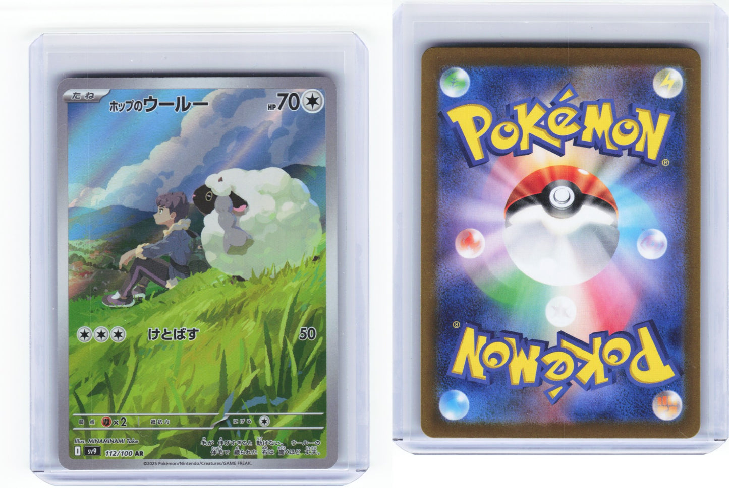 Hops Wooloo Battle Partners 112/100