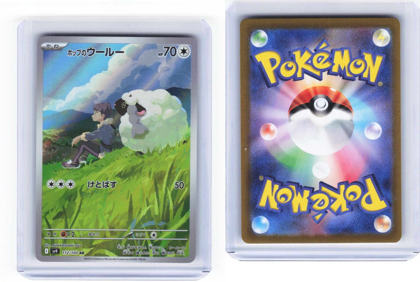 Hops Wooloo Battle Partners 112/100