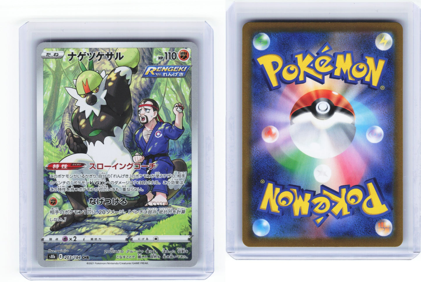 Passimian 203/184 - VMAX Climax