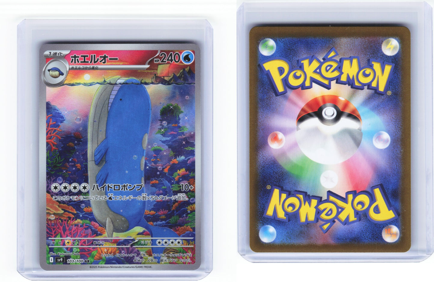 Wailord 103/100 - Battle Partners