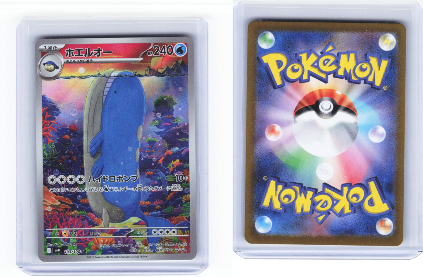 Wailord 103/100 - Battle Partners