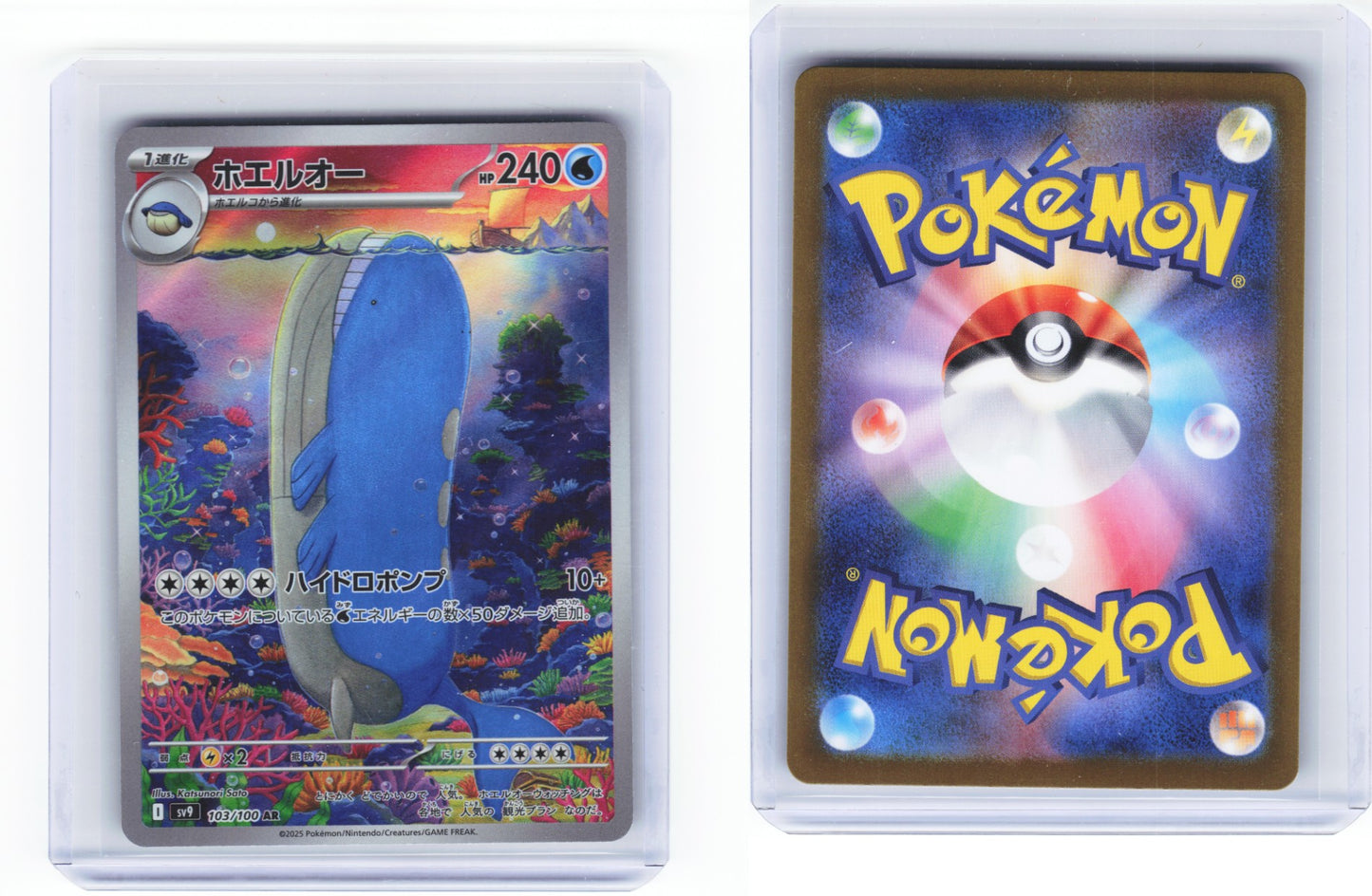 Wailord 103/100 - Battle Partners