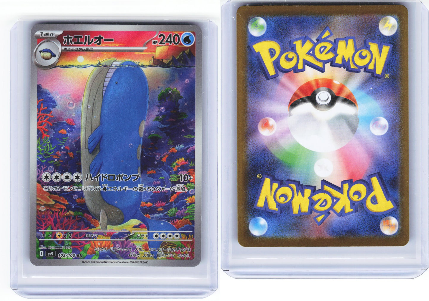 Wailord 103/100 - Battle Partners