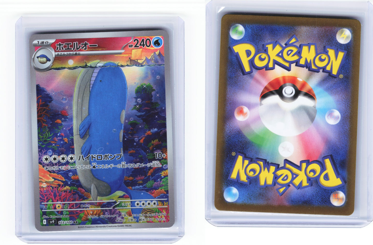 Wailord 103/100 - Battle Partners